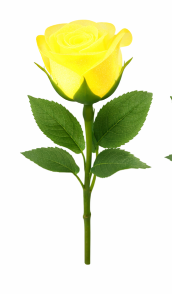 “Surprise colorée qui brille dans le noir”