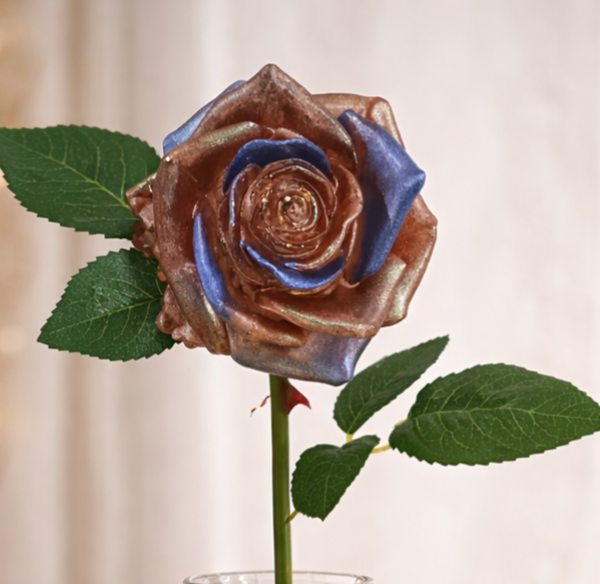 Rose Bicolore de Luxe 🌹