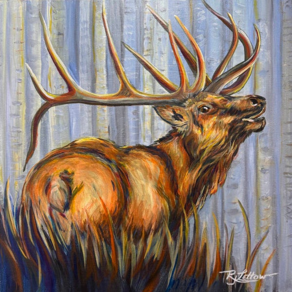 Elk II