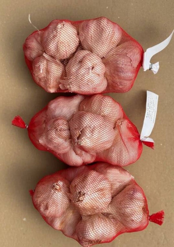 Aglio da Seme - 500 Grammi