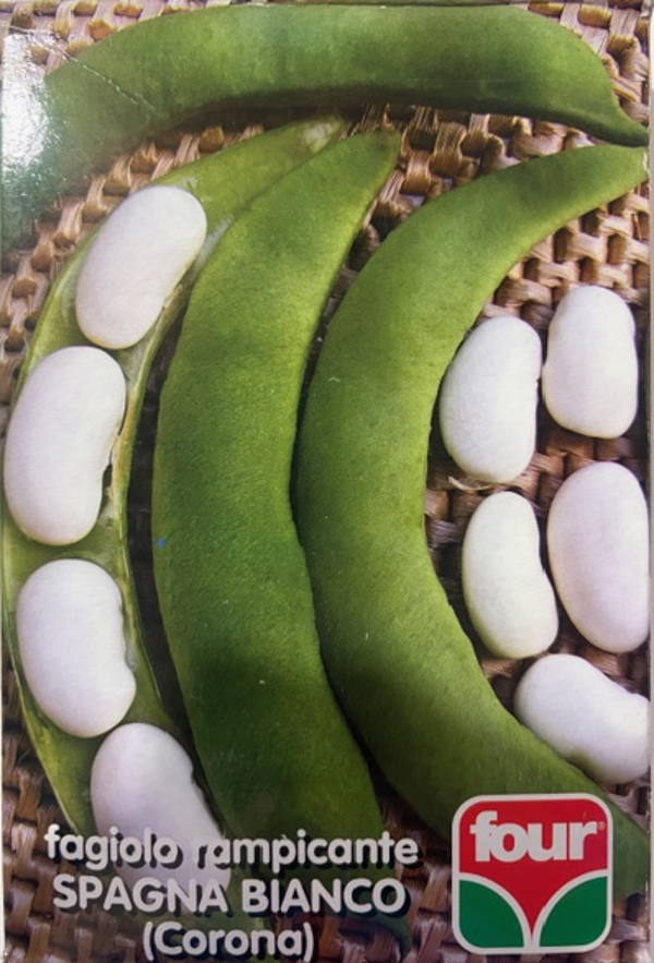 Four - Fagiolo rampicante Spagna Bianco 250 Gr