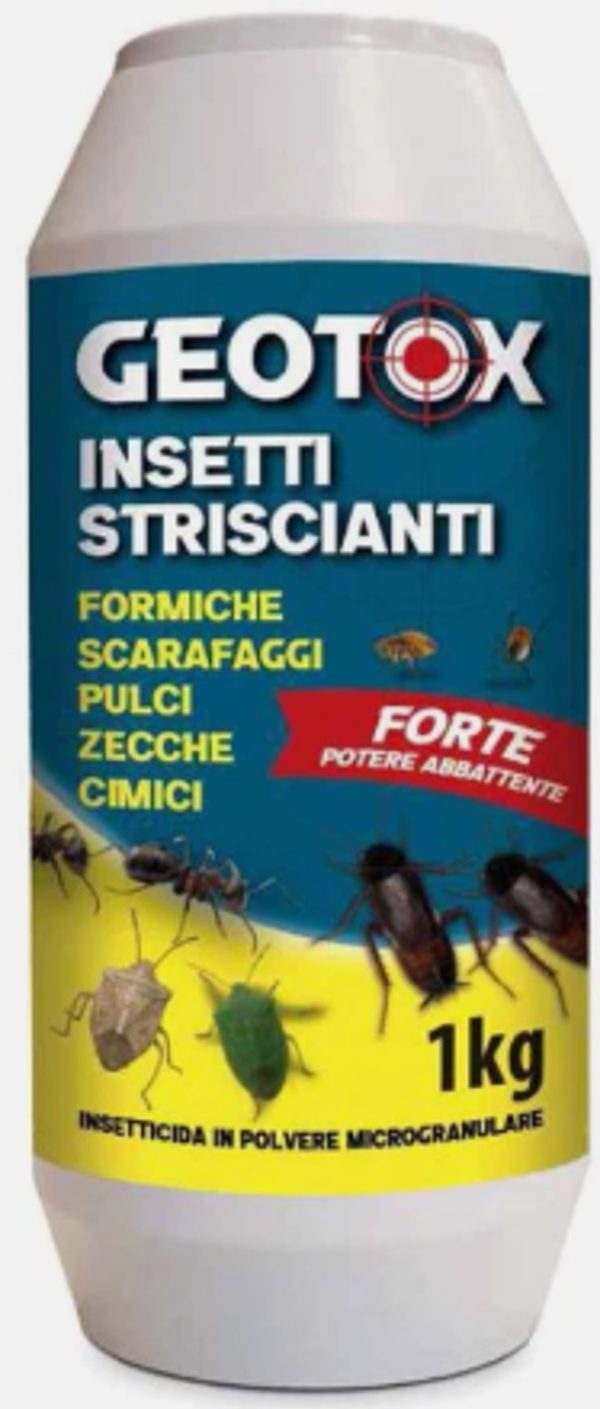ADAMA INSETTICIDA GRANULARE GEOTOX GR.250 INSETTI STRISCIANTI AMBIENTI DOMESTICI