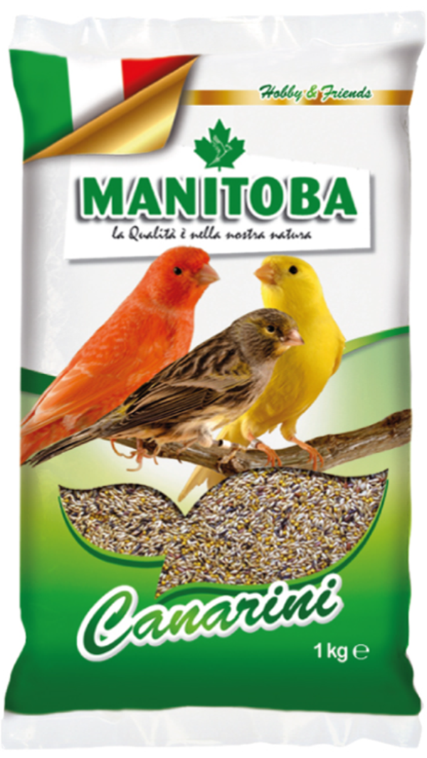 Manitoba - Hobby&Friends - Canarini T1