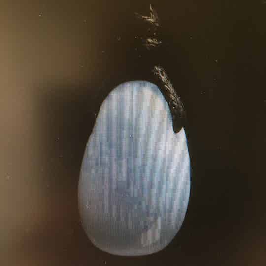 ANGELIET HANGER DOORBOORD