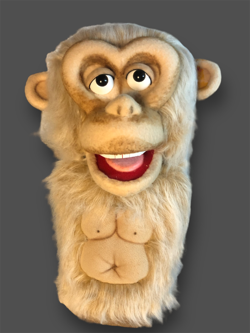 Biege Monky