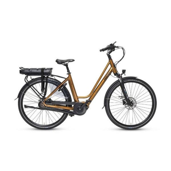 Freebike Mahattan 2.1