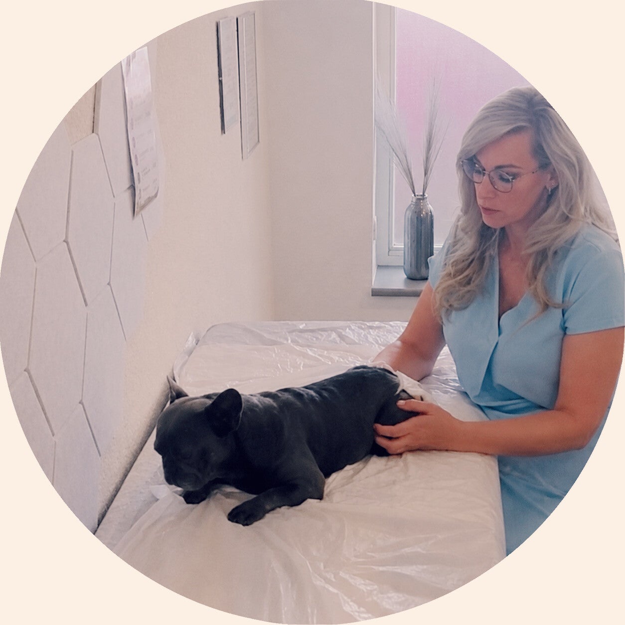 Tierphysiotherapie Tierheilpraktik Vogtland Aromatherapie