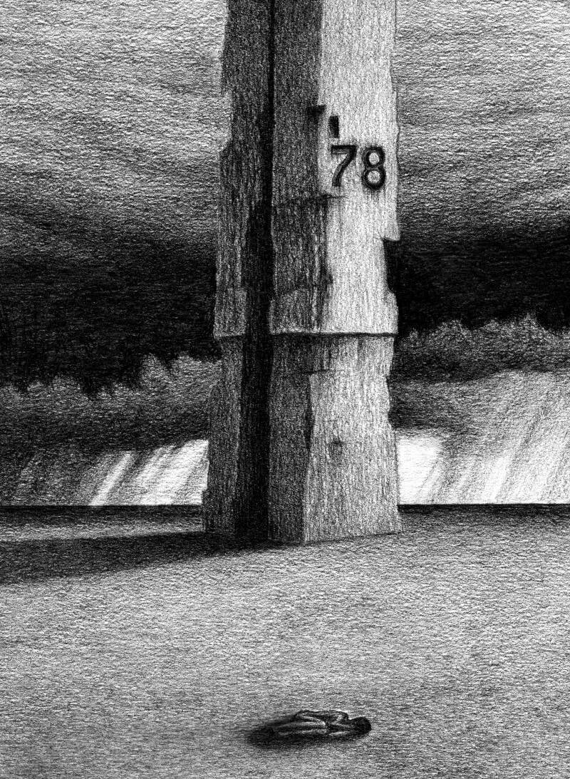 "78". Pencil on paper. 29 x 20