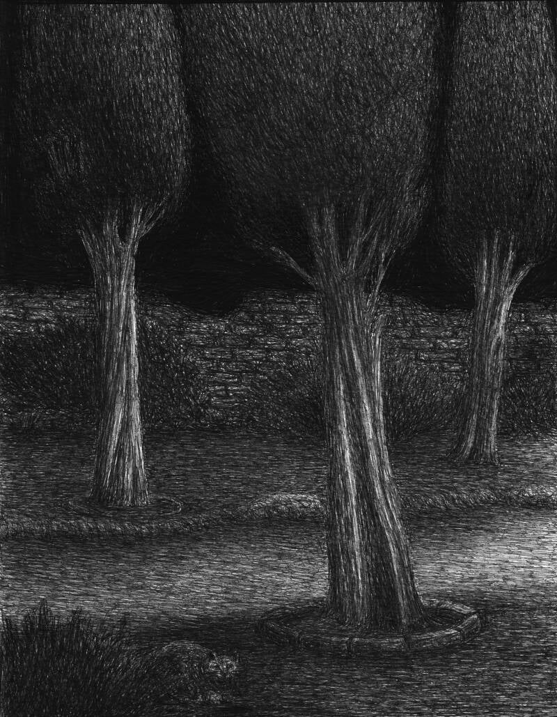 Pen on paper. 29 x 20