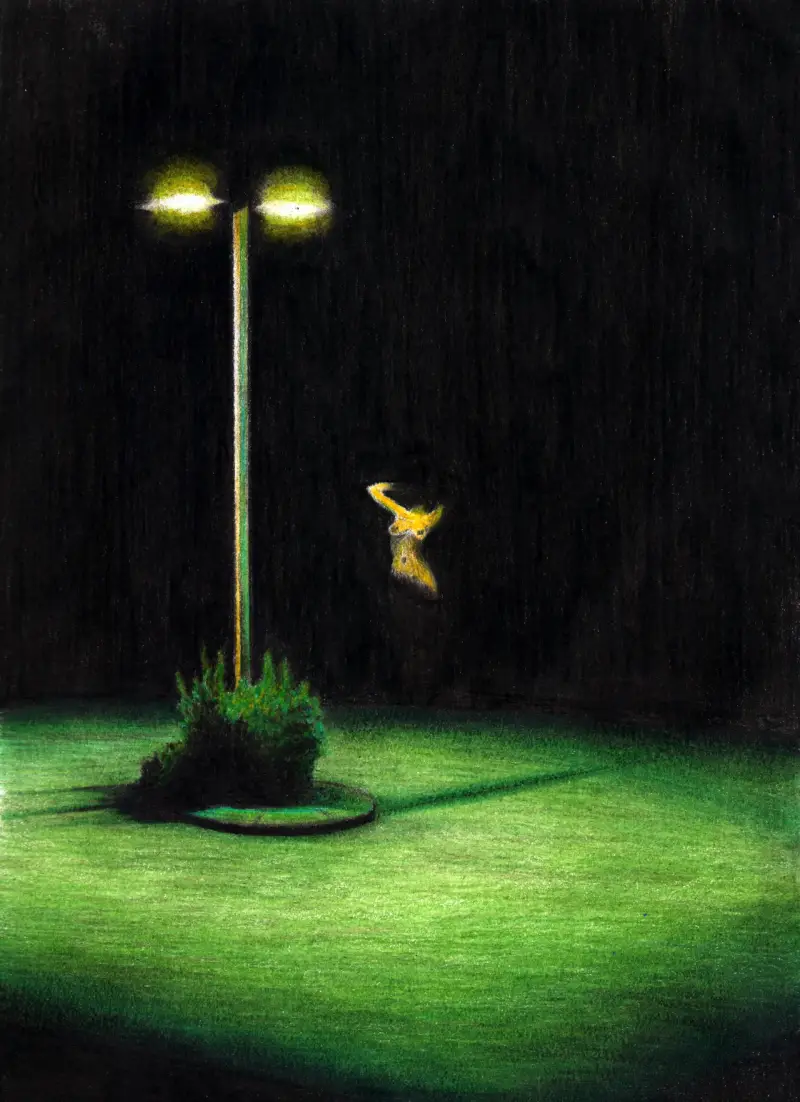 "Lay-by Night". Colored pencils on paper 20x28.