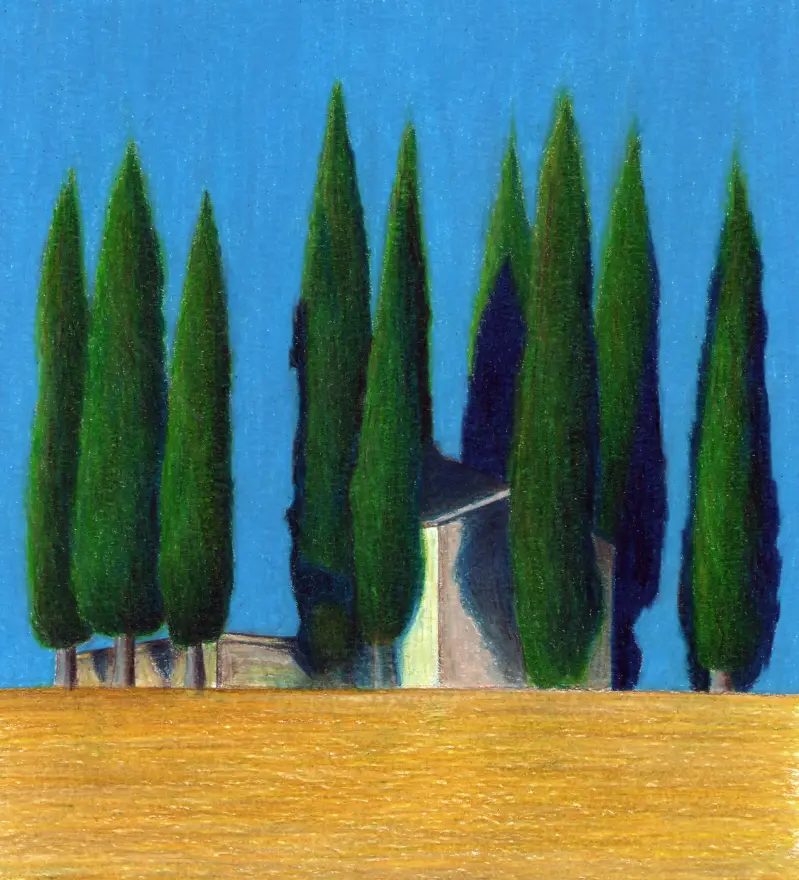 Colored pencil on paper