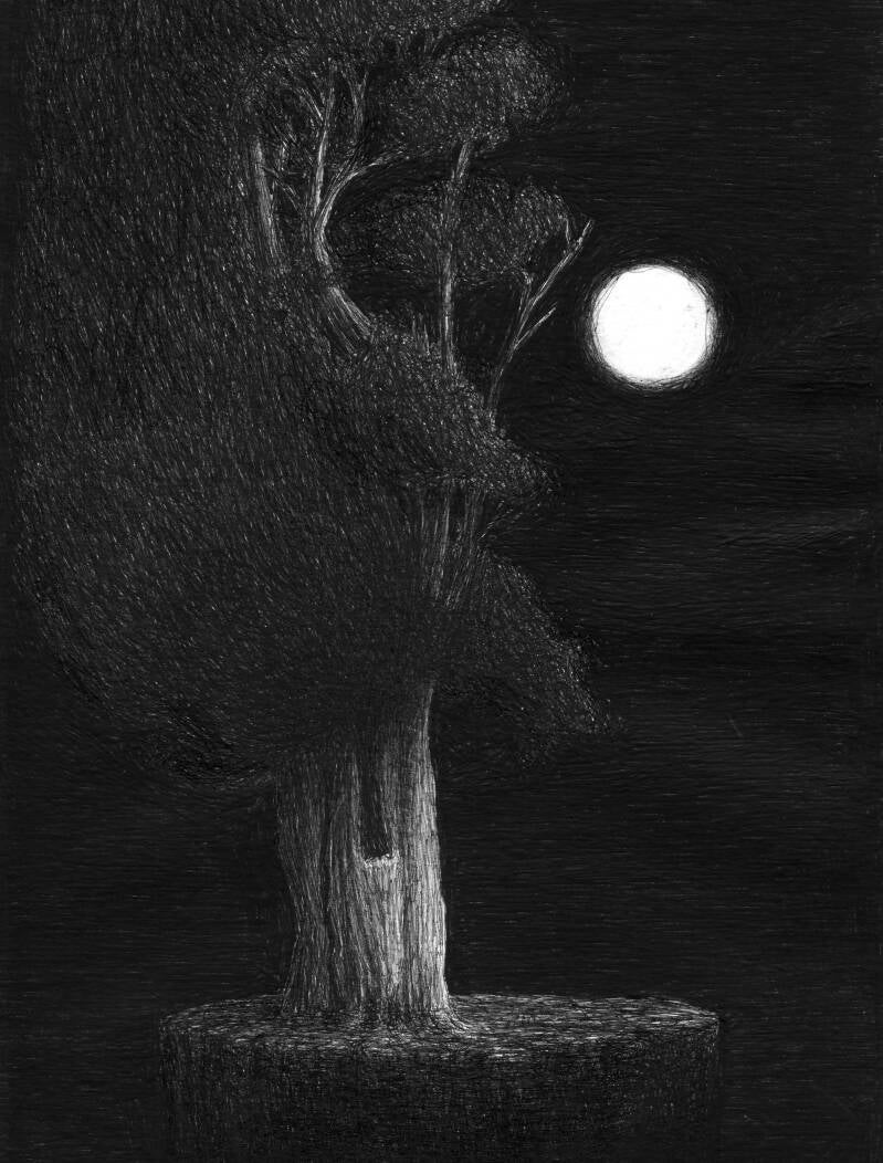Pen on paper. 29 x 20