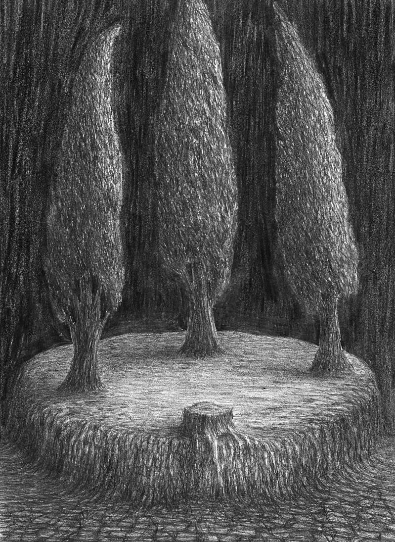 Pencil on paper. 29 x 20