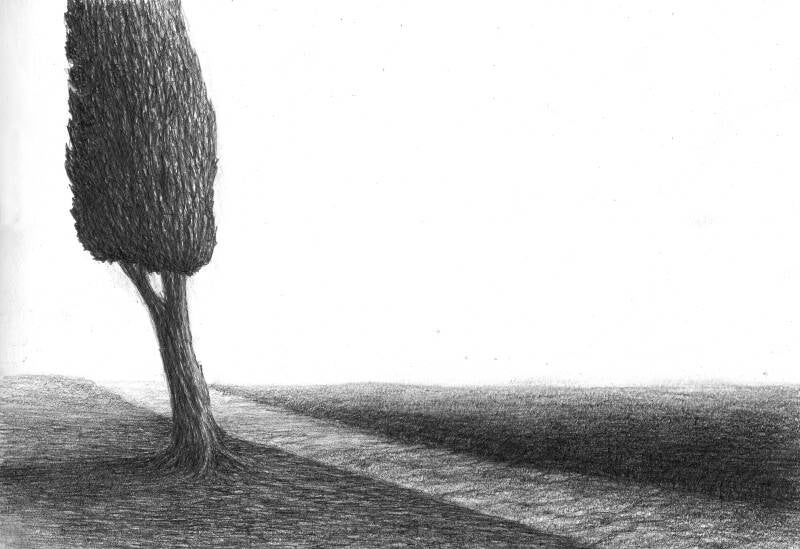 Pencil on paper. 29 x 20