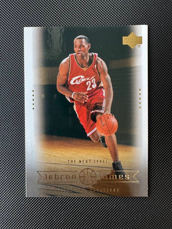 Lebron James Panini Upper Deck 2003 The Next Level #24
