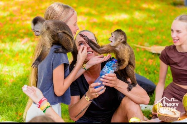 Monkey House
