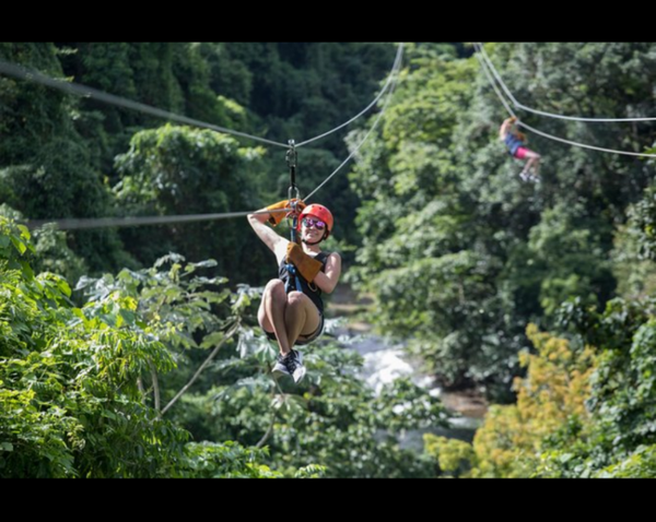 Safari, monky land and zip line