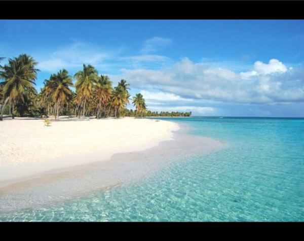 Excursion Isla Saona