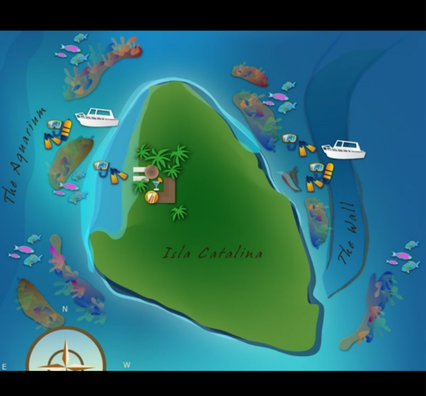 Excursion Isla catalina