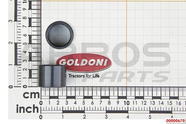 00000670 ring
