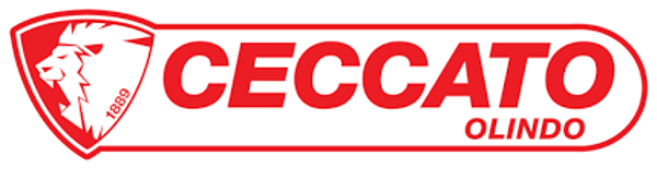 CECCATO 50001 bout D7991 m8X25