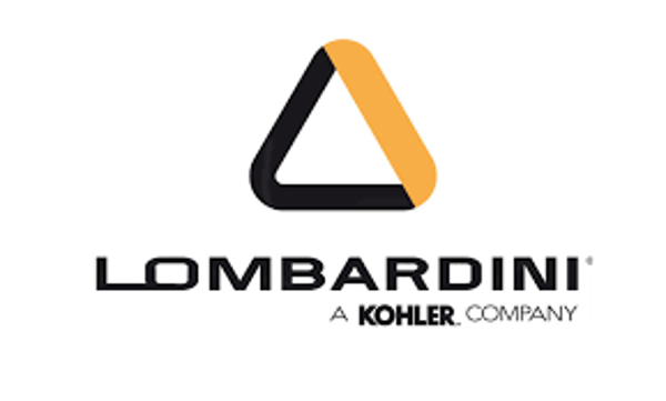 LOMBARDINI 2440-298 distributieriem LDW 903/B1