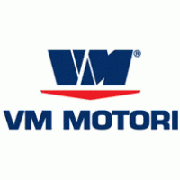 VM 2 130 2465F darm