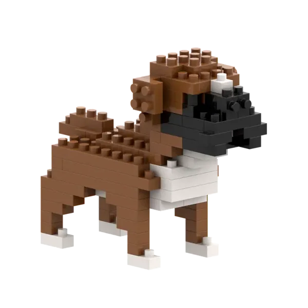 Boxer