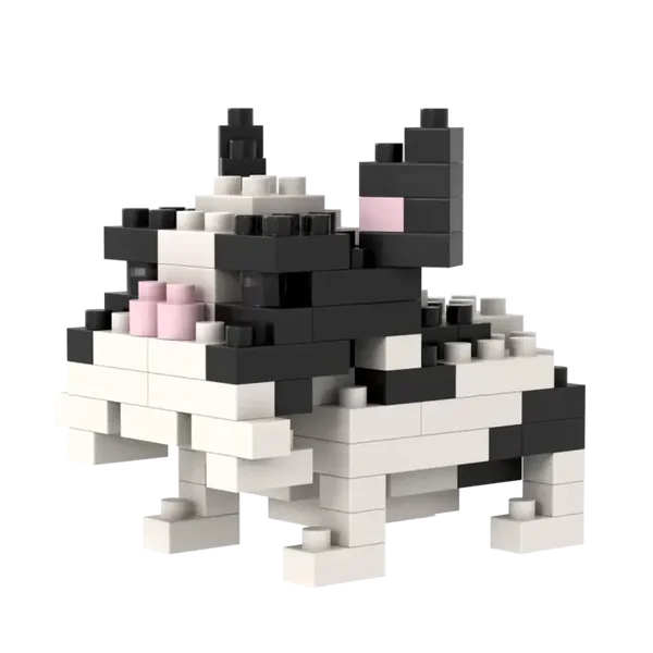 Franse Bulldog