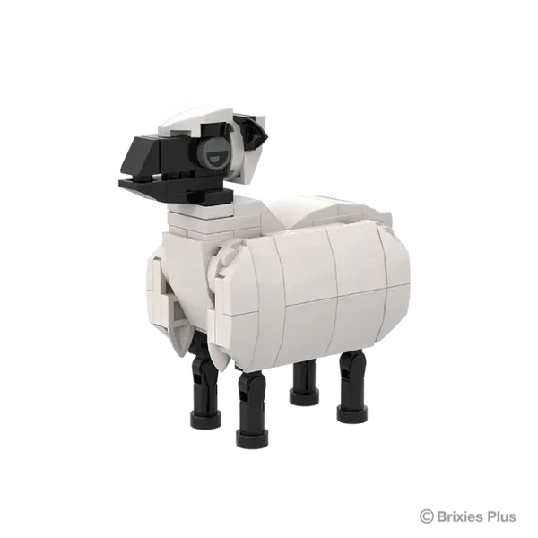 Farmmaatjes Schapen