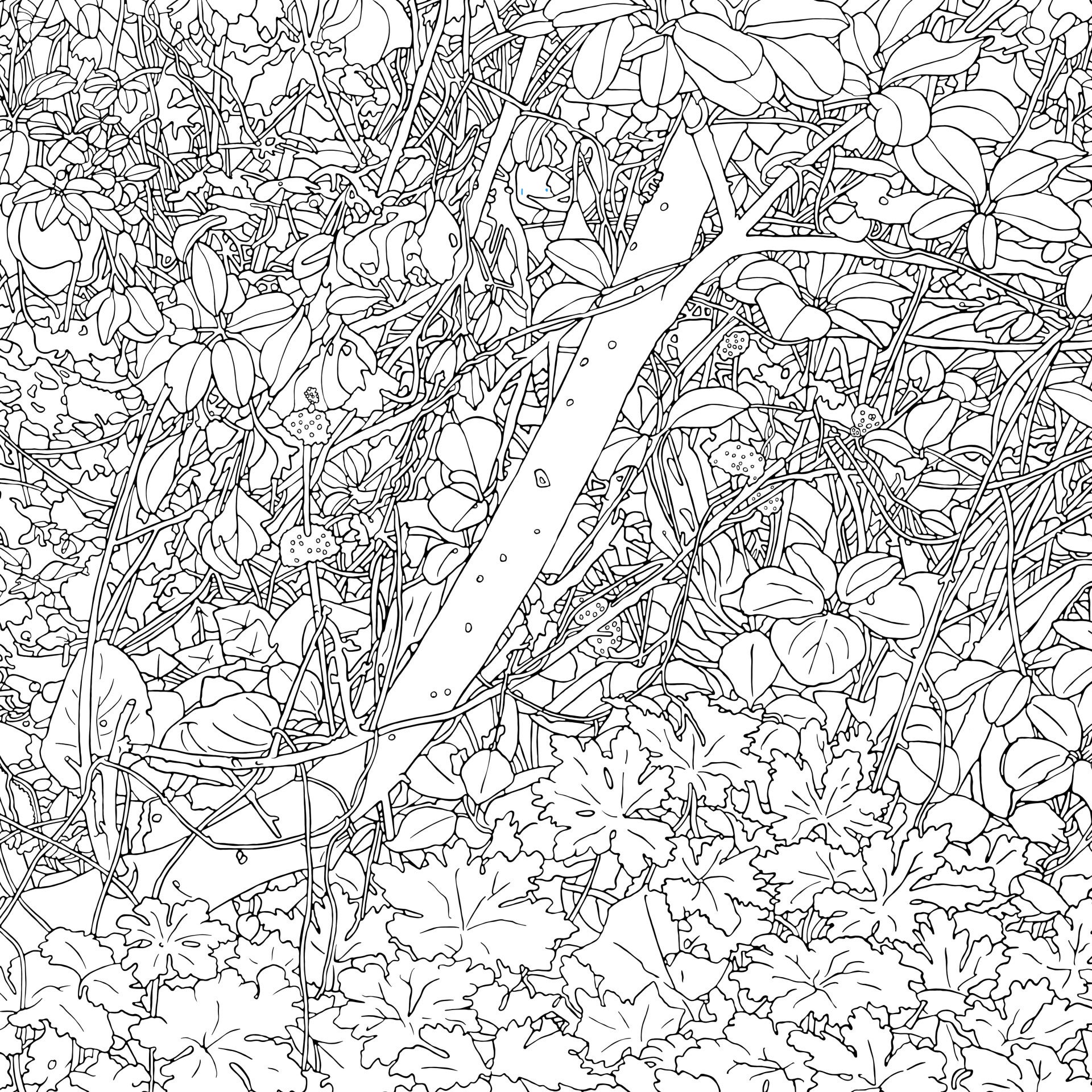 DIY kleurplaat 40x40cm Eden