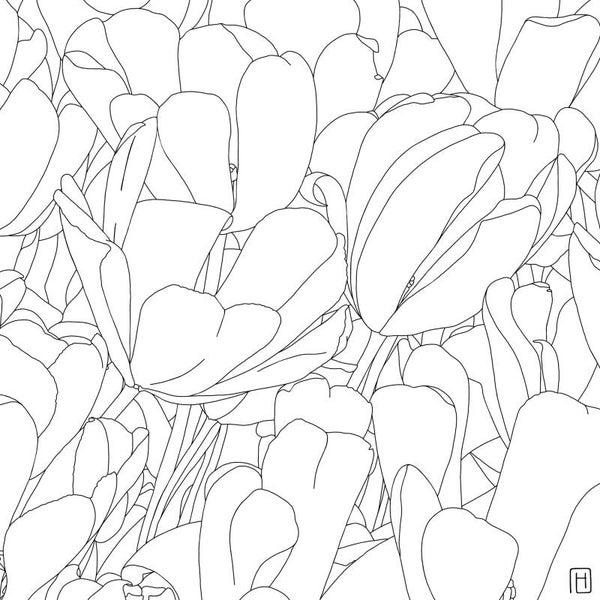 DIY kleurplaat 40x40cm tulpen