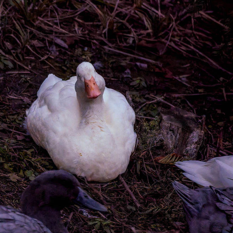 dsc05659-dxo_deepprime-3-standard.jpg