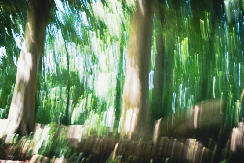kyu03909-dxo_deepprime-xd2s-standard.jpg