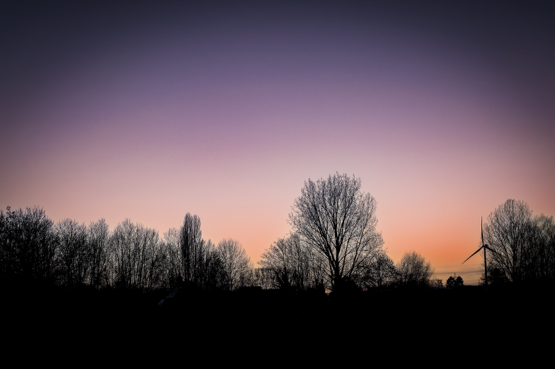 landschap-01022026-2-standard-lduqr5.png