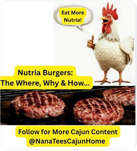 Pinterest graphic with cartoon rooster giving thumbs up saying Eat More Nutria, grilled nutria burgers on flat top, and text Nutria Burgers: The Where, Why & How, Follow for More Cajun Content @NanaTeesCajunHome
