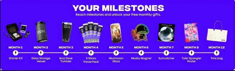 Everyday Dose coffee subscription milestone chart showing 9 free monthly gifts over first year: frother, storage, tumbler, travel pack, glass, magnet, suncatcher, poster, tote bag