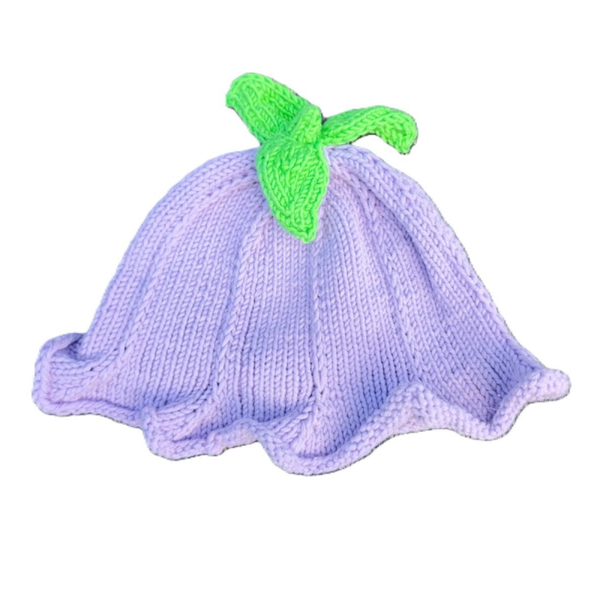 HAUBE Glockenblume lila