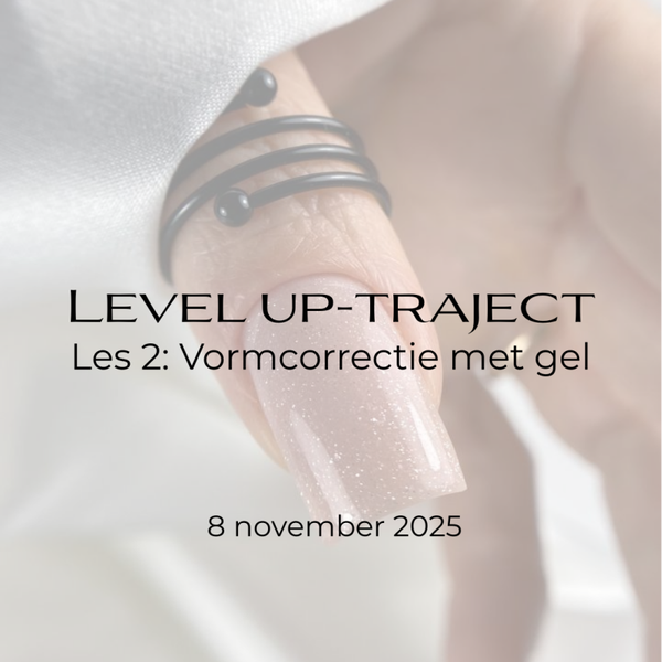Les 2: Level Up- Traject 08/11/2025