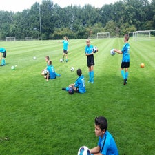minijvd8.jpg
