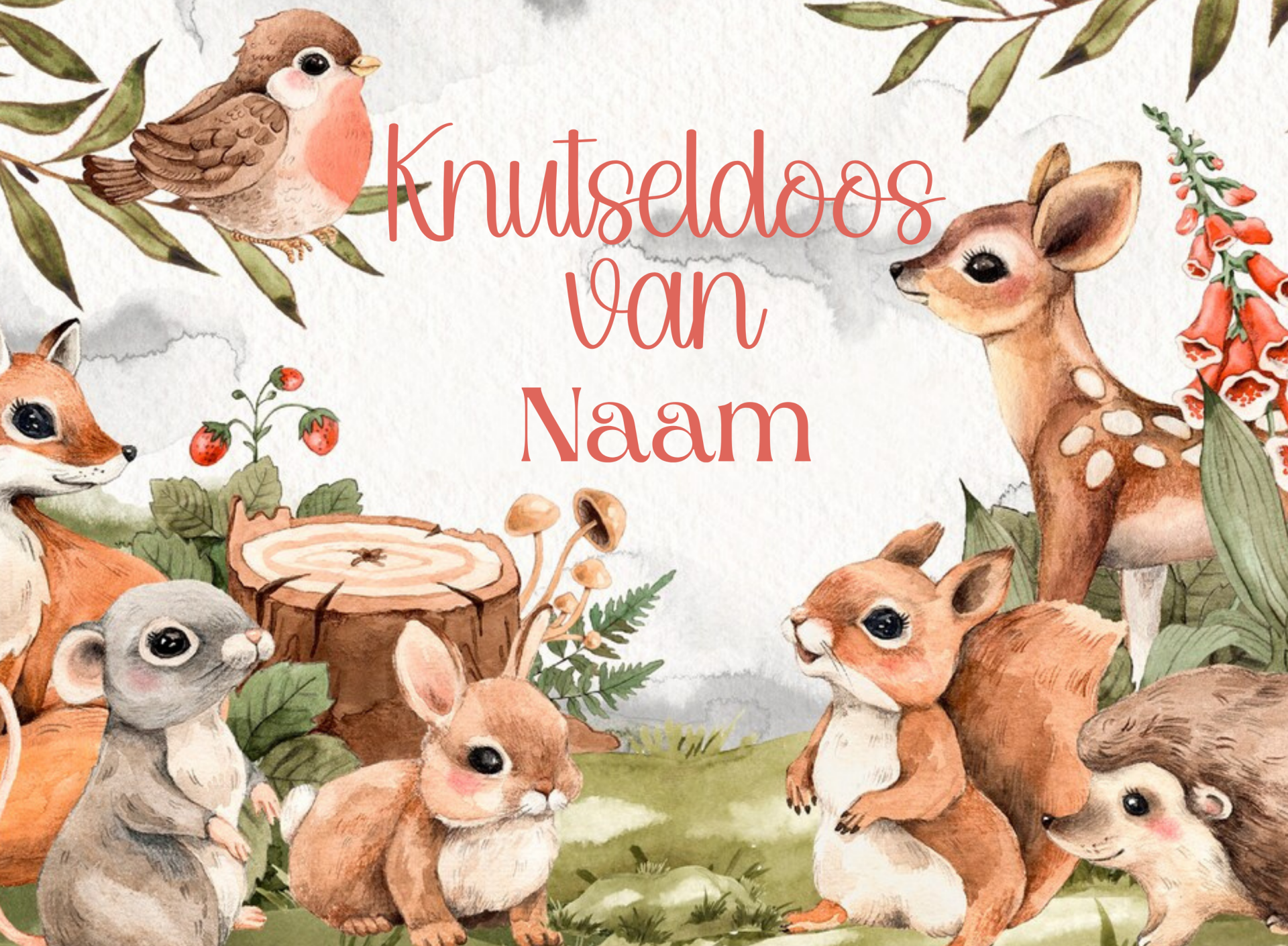 Knutseldoos Dieren