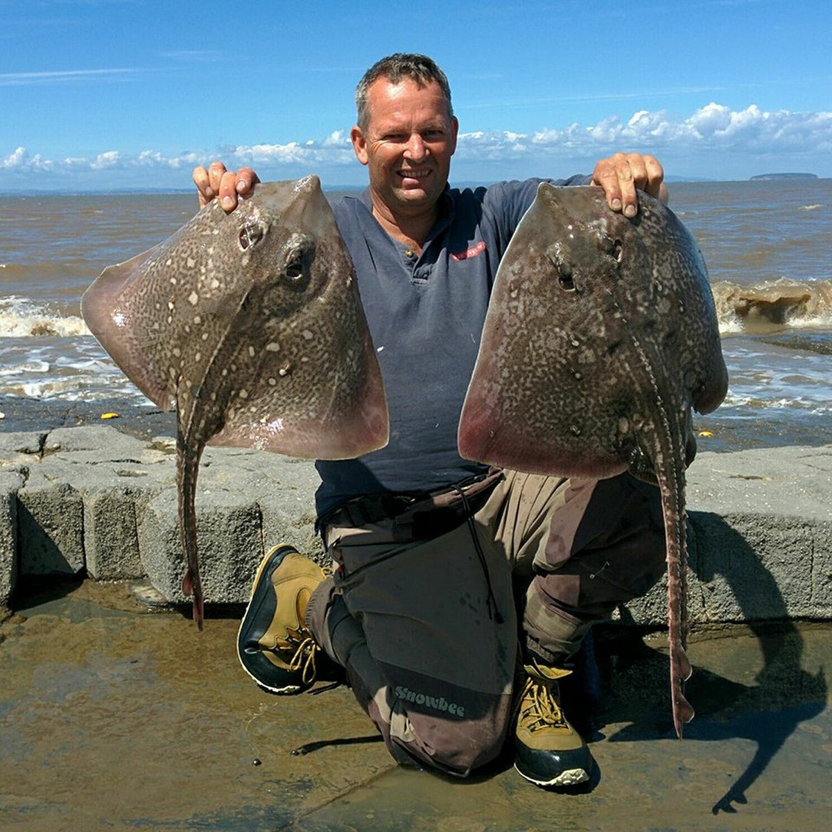 Sliding Pulley Pennel Rigs - Made in Britain. COD BASS RAY CONGER ** 10 ...