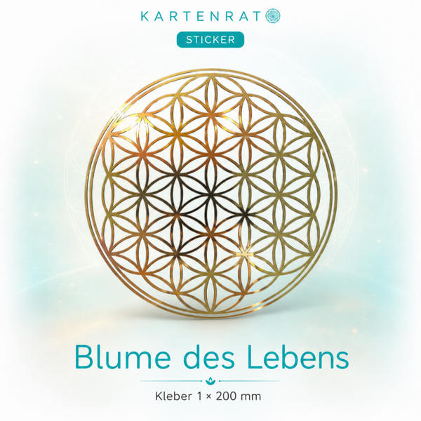 Blume des Lebens