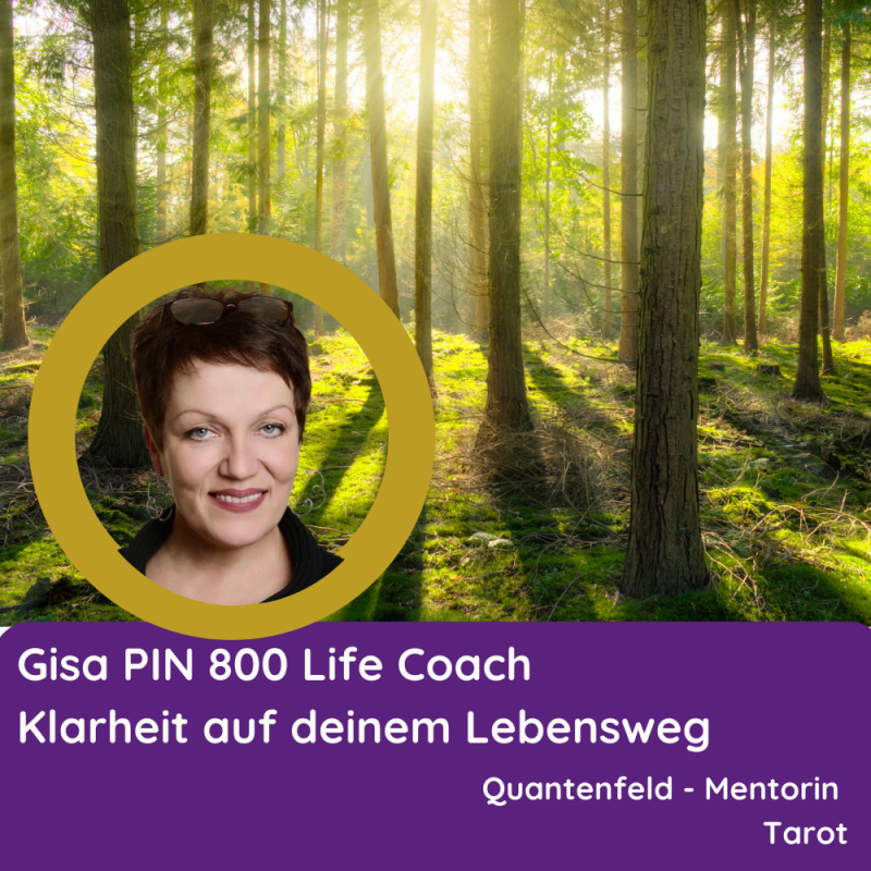 Gisa PIN 800 Quantenfeld Mentorin Tarot life Coach Kartenrat.com 