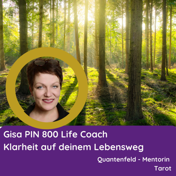 Gisa PIN 800