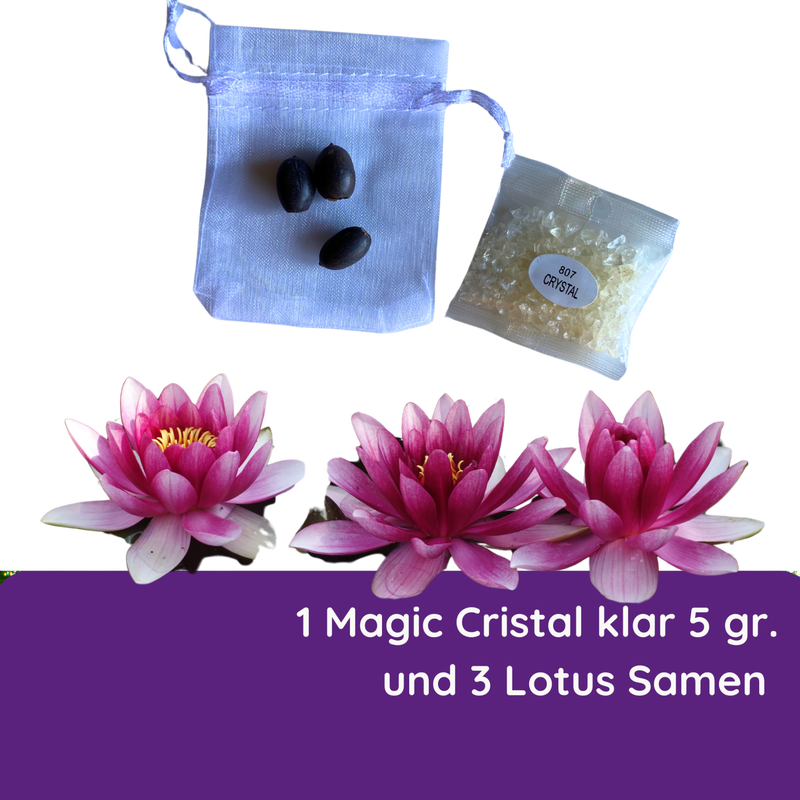 Magic Cristal