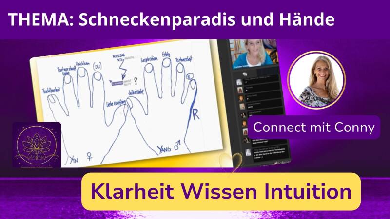 Energie-Kurs-alltag-meinstern-intuiton-wissen-klarheit-mit-conny-kartenrat.com