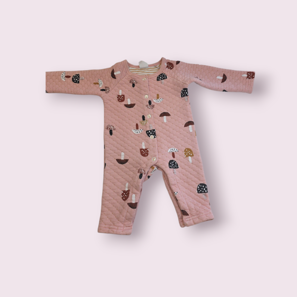 Boxpakje paddestoel hema