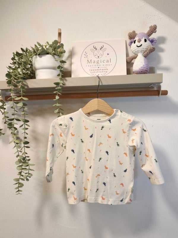 Hema Longsleeve | Maat 74 - 1139