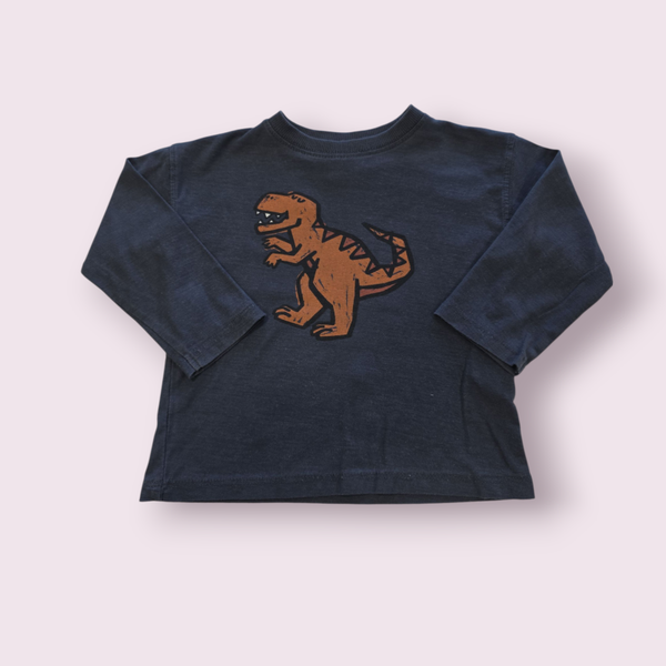 Longsleeve dino zara maat 80